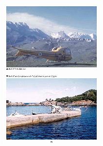 611 GYRAFRIQUE_000090